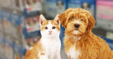 Site para pet shop: 5 dicas para criar o seu