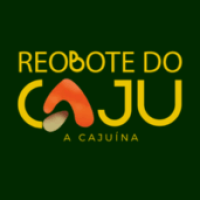 logo reobote (1)